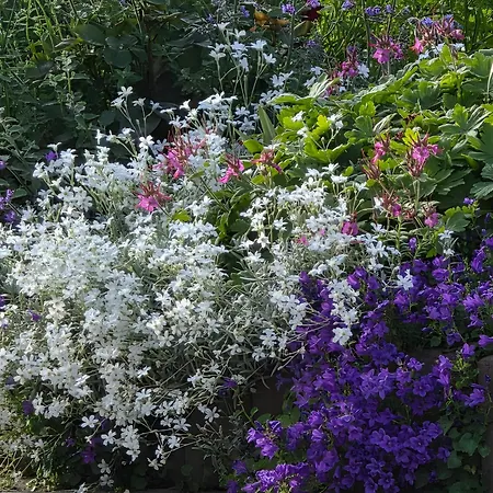 Fuer 2, Nicht Fuer Monteure Apartamento *