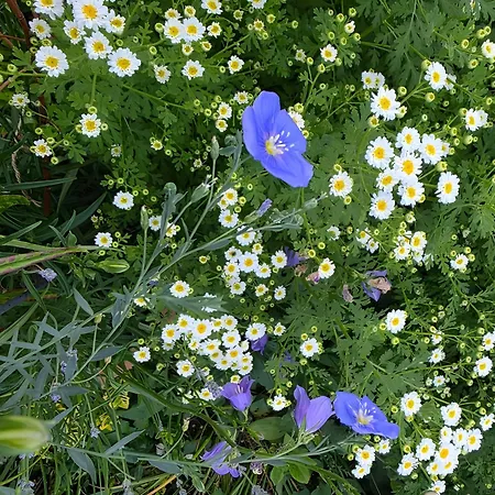 Apartamento Für 2, Nicht Für Monteure